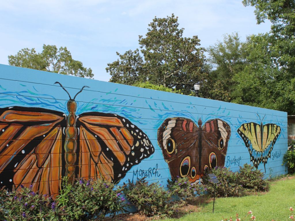 Butterflies. Eastern Shore Art Center. 2018.