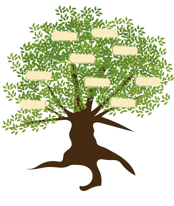 Genealogy
